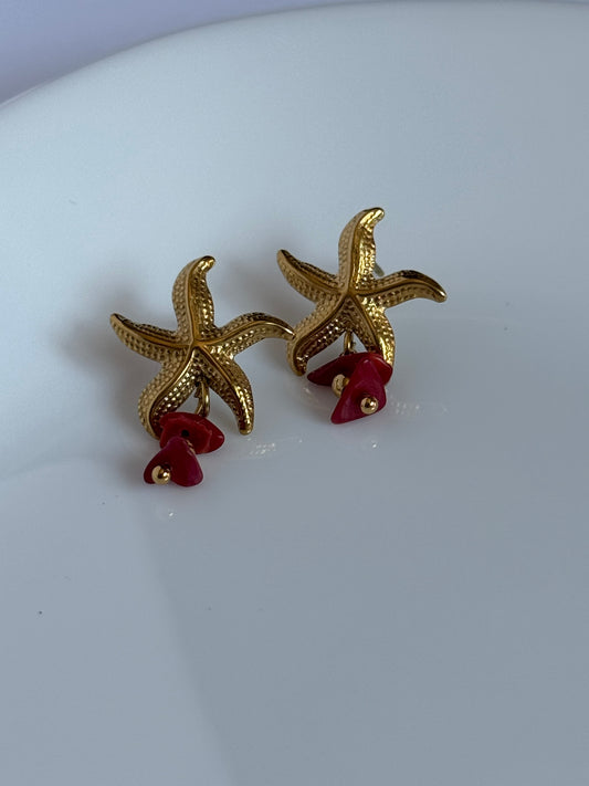 PENDIENTES SAMBA